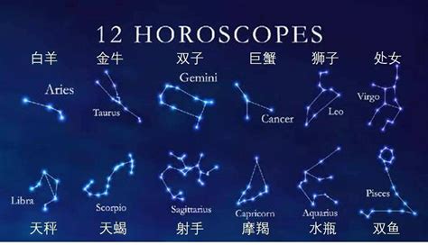 12月21什麼星座|射手座（占星学术语）